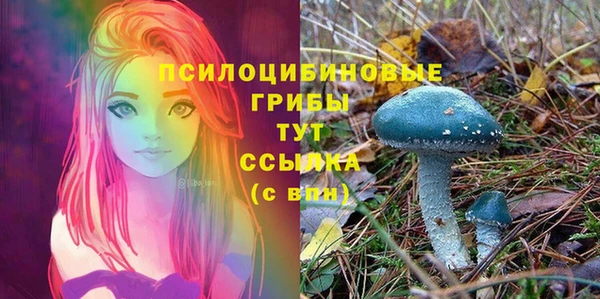 твердый Кукмор