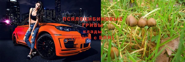 ГАЛЛЮЦИНОГЕННЫЕ ГРИБЫ Куйбышев
