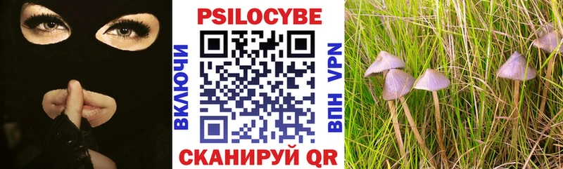 Псилоцибиновые грибы прущие грибы  где найти   Малгобек 