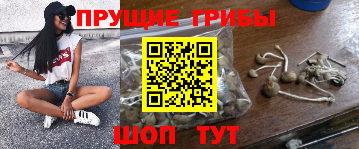 Псилоцибиновые грибы ЛСД Малгобек
