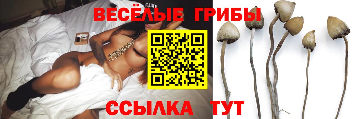 Малгобек  даркнет сайт  Вход с VPN  Галлюциногенные грибы мицелий 